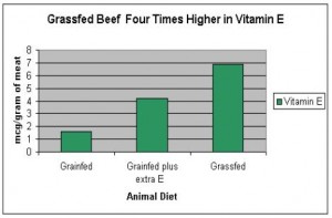 grassfed beef higher in vitamin E